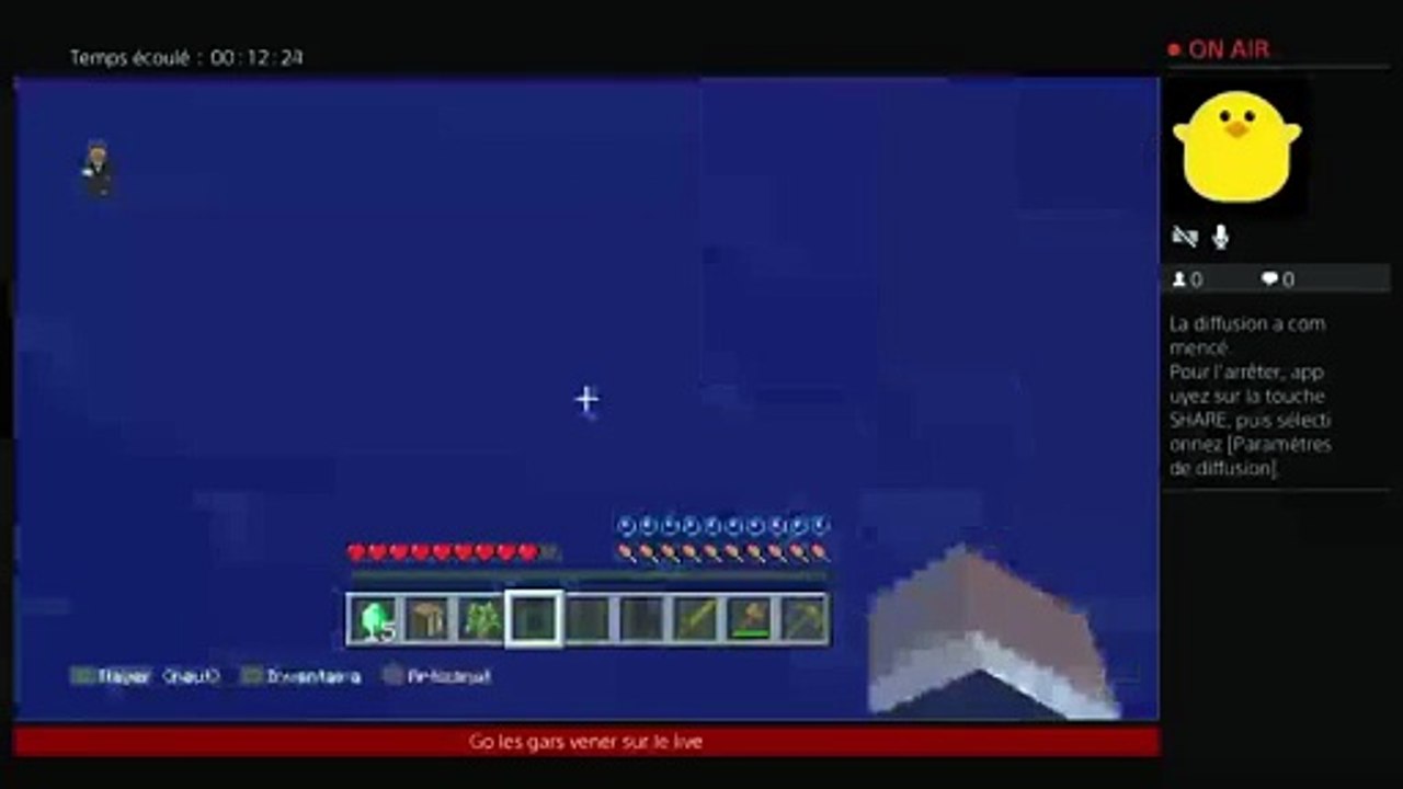 Je suis sur PALADIEUM SUR PS4 OMG (105)