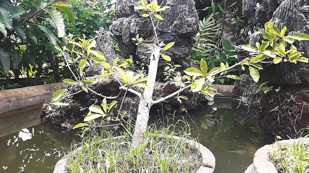 ᴴᴰ Best Mickey Mouse Cartoons for Kids with Donald Duck, Chip and Dale, Pluto dog, Minnie