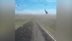 Locusts Ahead: Pests Swarm Driver In Dagestan