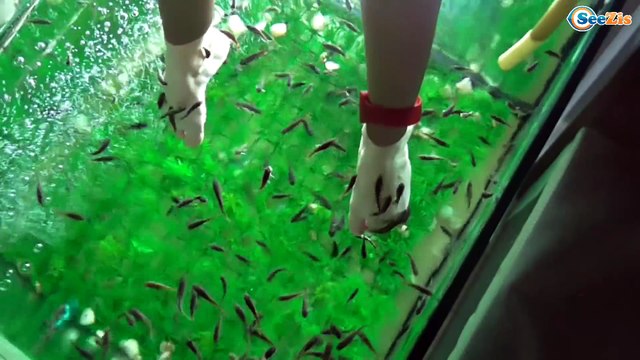 ✔ Кукла Беби Борн и девочка Поля в Аквапарке купаются в бассейне / Baby Doll Bath time Baby Born ✔