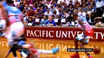 Jamal Crawford BREAKING ANKLES All Summer Long! CRAZY HANDLES!! Mixtape Vol. 3