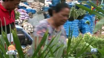WWW: Mindanao Avenue Garden Center