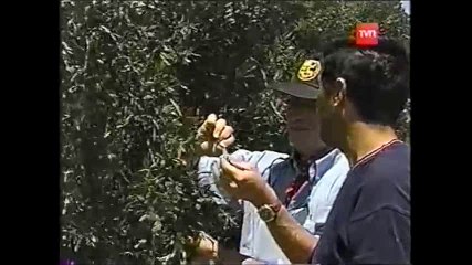 tierra enquevivimos humedal  p 2