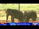Mysore Dasara: Dasara Elephants Will Soon Reach Mysore