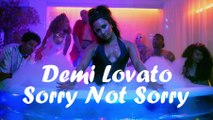 Demi Lovato - Sorry Not Sorry - (Lyirc Video) 2017