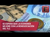 Análisis de los comentarios de especialistas sobre la economía mexicana