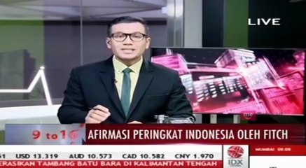 Fitch: Rating Utang Luar Negeri Indonesia Level BBB- dengan Outlook Positif