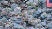 Sampah plastik akan mengubur planet kita jika tidak ditanggulangi - Tomonews