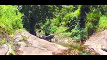 munnar untouched deep forest   the most beautiful place in india   Kerala t