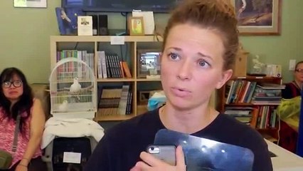 This bird hospital saves creatures from urban life