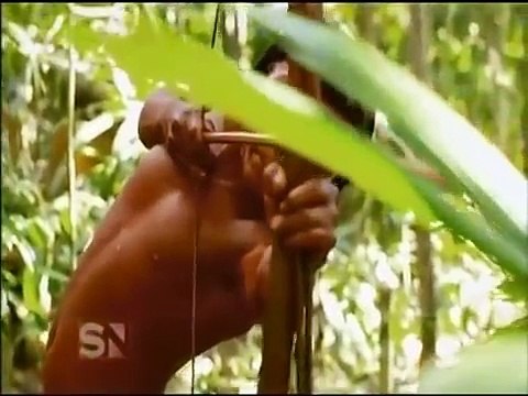 Amazon Tribes | National geographic documentary amazon tribes [NEW]