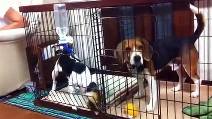 いつも楽しそうで嬉しいよ　重村浩臣 (7)