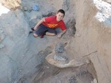 Boys Finds Mastodon Skull Hiking in Las Cruces