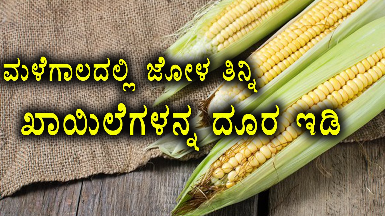 Corn Is Good In Monsoon | Eating Corn Is Good F...