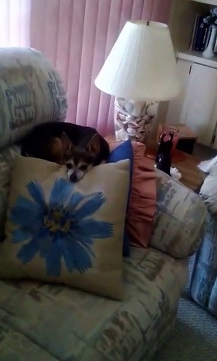 Angie trying to get Dew to come home.