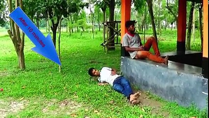 Funny Clips Videos ¦Comedy Funny Video ¦All In One Tv bd