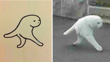 Download Video: Funny and Photorealistic Drawings of Cats