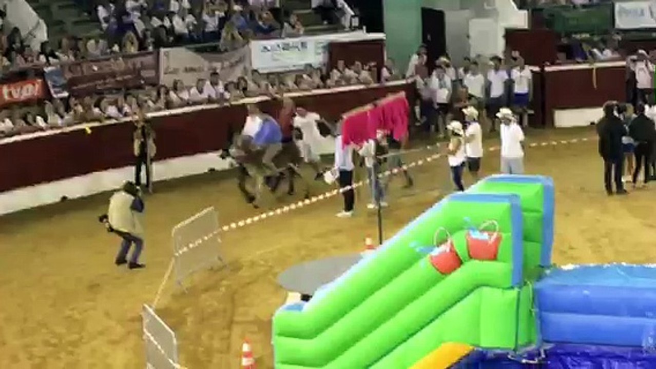 Madeleine 2017 : les maires de Mont-de-Marsan et Saint-Sever font la course à dos d'ânes