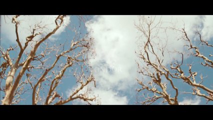 LE SECRET DE LA CHAMBRE NOIRE (2015) WEB-Rip TrueFrench Complet (1080p_24fps_H264-128kbit_AAC)