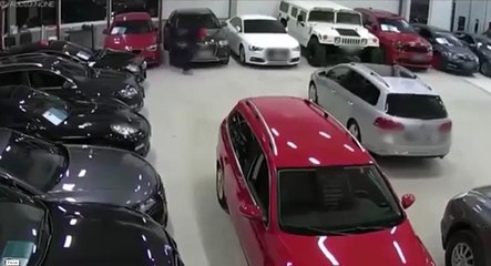 ROOKIE ARSONIST MANAGES TO SET HIMSELF ON FIRE
