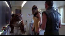 Les Inhumans dévoilent enfin leurs pouvoirs dans un nouveau trailer