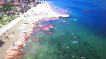 Bursa Denizdeki Suntalar Drone'la Böyle Görüntülendi