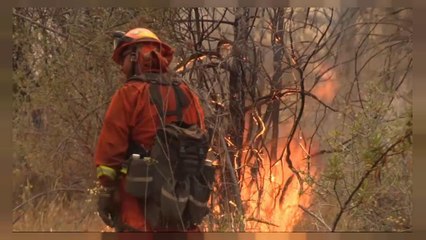 California'daki orman yangınında 5 bin kişi tahliye edildi