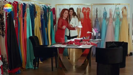 Dashuria nuk njeh fjal 116