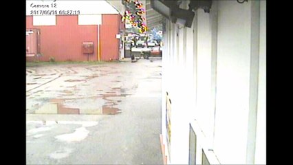 Bear Walks into a Liquor Store