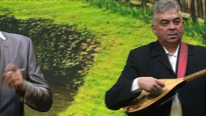 SLAVEN VUJICIC - Tebe volim...