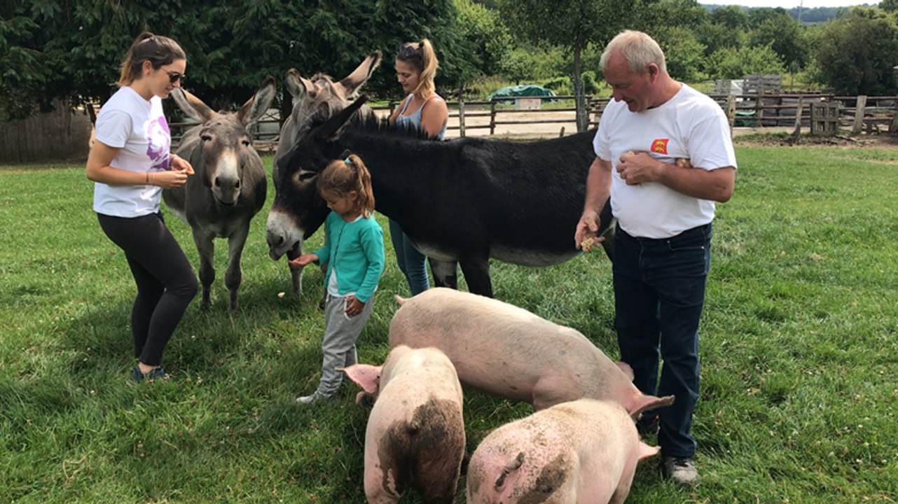 Visite de la ferme du Lieu-Roussel