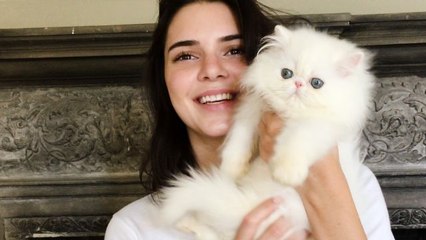 Kendall Jenner Meets the World's Cutest Kitten
