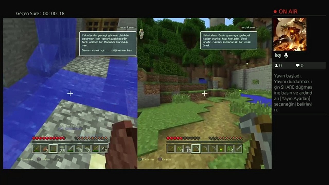 Minecraft (24)
