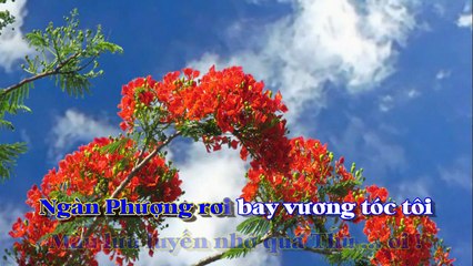 [Karaoke] SẮC HOA MÀU NHỚ - Nguyễn Văn Đông (Giọng Nam: E)