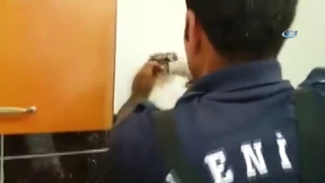 Yavru Kedi Duvarı Delip Kurtardılar