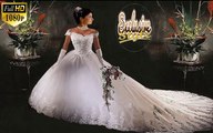 Beautiful and Elegant Wedding Dresses / Gowns: (Wedding Album Collection 8)