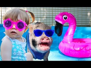 Little Girl and Baby Pig are the Best of Friends