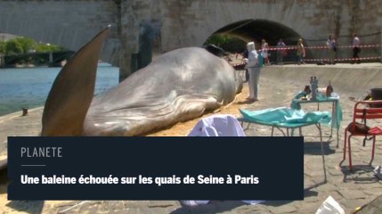 Un baleine à Paris pour sensibilier à l'environnement