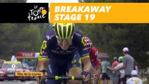 Cassure dans le peloton / Echelon in the breakaway - Étape 19 / Stage 19 - Tour de France 2017