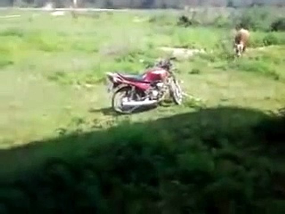 VID-20150226-WA0002