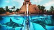 Top 10 Most INSANE Waterslides Around the World