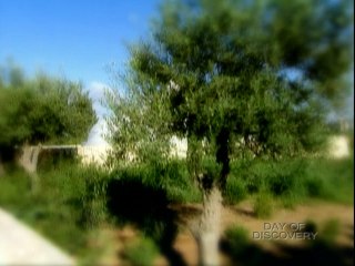 A Journey With Jesus Through Hopelessness 2