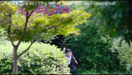 Võ học tuyệt đỉnh Thái cực tông sư Tinh hoa võ thuật Trung Quốc 2017