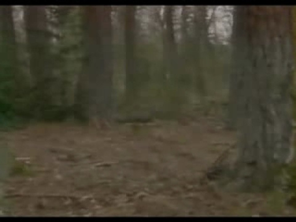 Broceliande, pays magique
