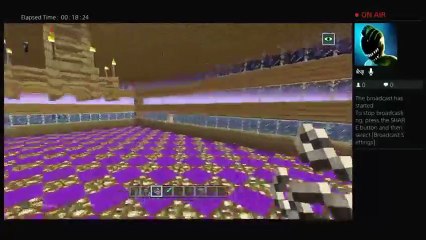 Live minecraft-Having fun (6)