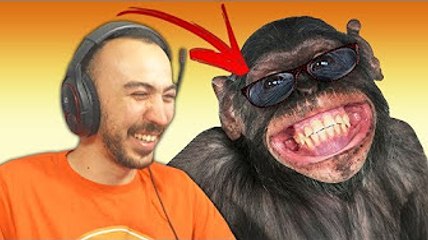 LE BLED'ART-LE PIRE ZOO AU MONDE !