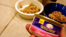 Wellness Cubed Sliced and Minced Grain Free Canned Cat Food - Floppycats