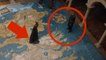 Top 3 Things You Missed in Season 7 Episode 1 of Game of Thrones - Watch the Thrones