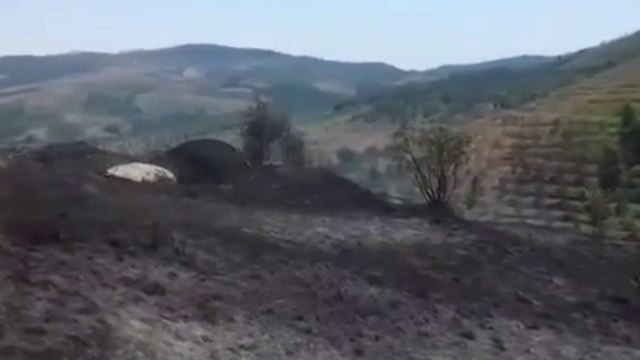 TEMPERATURAT E LARTA VAZHDOJNE TE FAVORIZOJNE VATRAT E ZJARRIT QE DJEGIN PYJE E DRURE FRUTORE LAJM