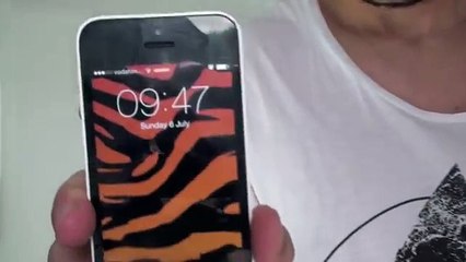 How to GROW TALLER Torso & Legs! Week 63 of Harry and James!